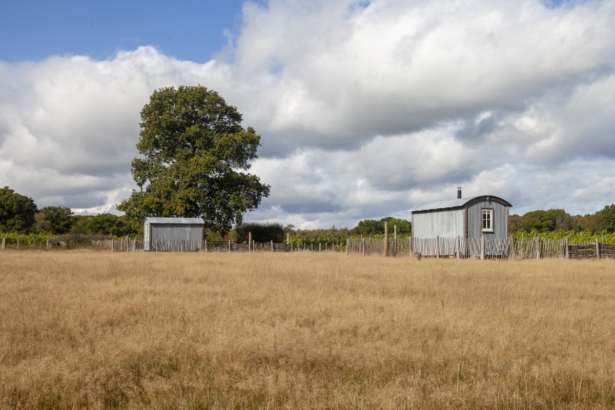 The Shepherd's Huts